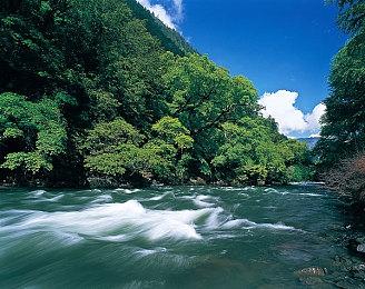 粉丝玩家耗时多年打造《超级马里奥兄弟5》完工